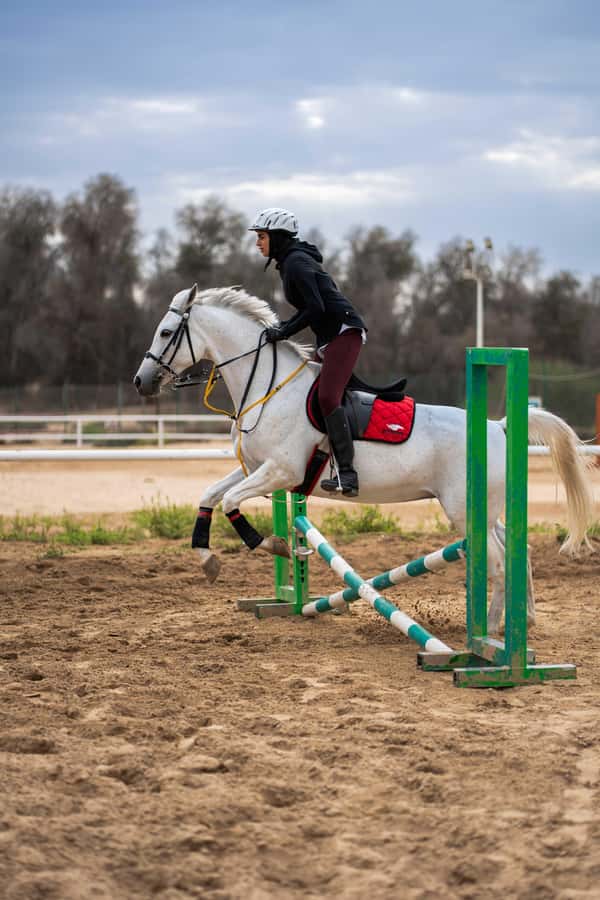 1 Hour Horseback Dubai Desert Park Ride - The horse care lesson at the end is the part I remember