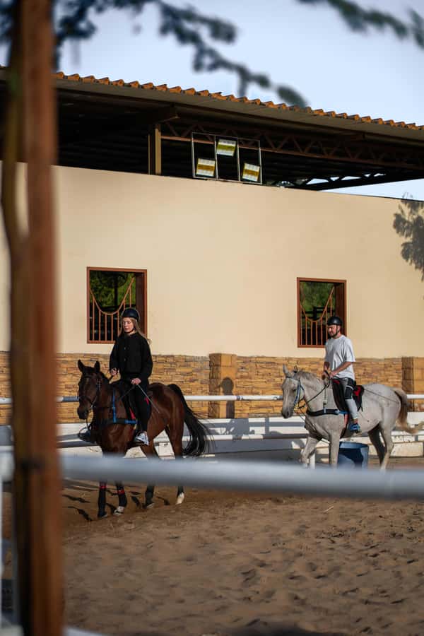 1 Hour Horseback Dubai Desert Park Ride - Should you book the 1-hour Dubai Desert Park horseback ride?