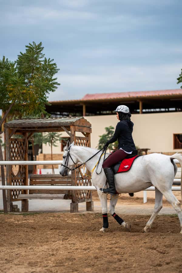 1 Hour Horseback Dubai Desert Park Ride - Your 1-hour ride, step by step (and what each part feels like)