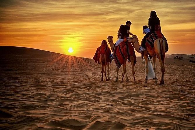 1-Hour Quad Bike Adventure: BBQ Dinner, Sandboarding & Shows! - Al Awir Premium Desert Camp: Coffee, Henna, Camel Ride, Then the Shows