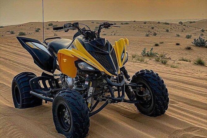 1-Hour Quad Bike Adventure: BBQ Dinner, Sandboarding & Shows! - BBQ Dinner with Vegetarian Options: What to Expect and How to Plan