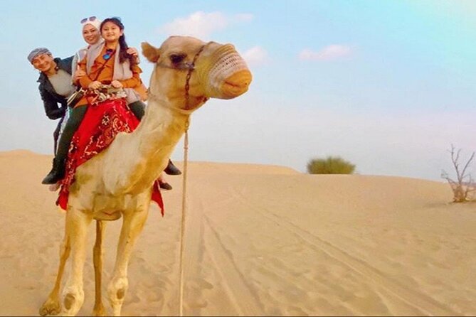 2-Day Abu Dhabi and Dubai City Tour with Desert Safari - Who this tour suits best (and who should think twice)