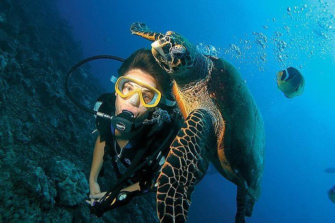 3-Day PADI Open Water Diving Course in Dubai - First Gear, Then Real Skills in Three Days