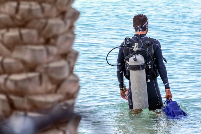 3-Day PADI Open Water Diving Course in Dubai - Where You’ll Start on Palm Jumeirah (and How It Ends)