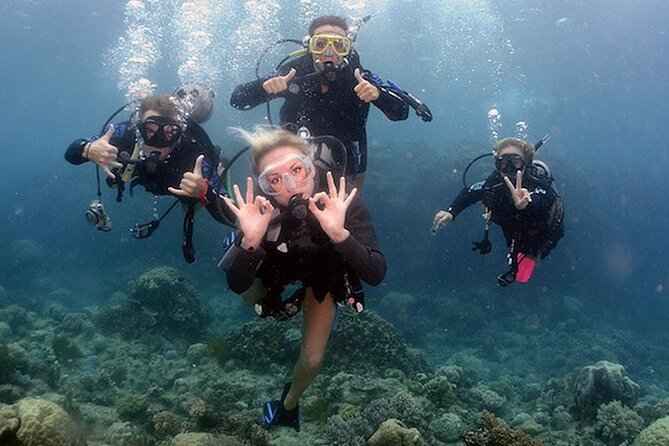 4 Day Certified PADI Open Water Scuba Diver in Dubai - Meeting at Al Boom in Jumeirah, and what your first morning should feel like