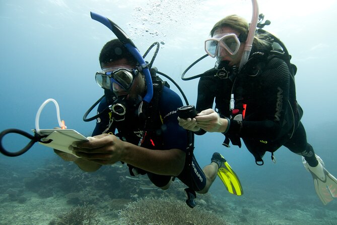 4 Day Certified PADI Open Water Scuba Diver in Dubai - Four open-water sessions off Jumeirah beach, plus the Fujairah factor