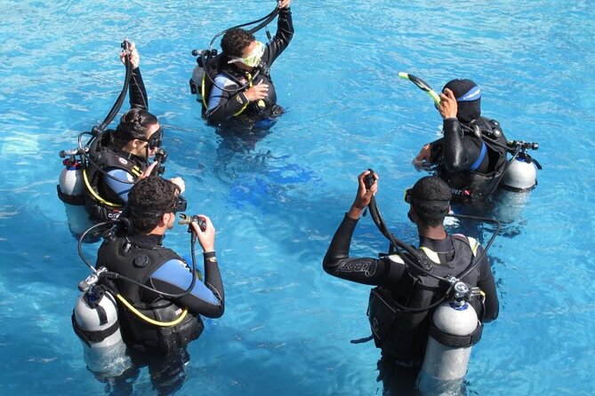 4 Day Certified PADI Open Water Scuba Diver in Dubai - Marine life at beginner level, what you might actually see