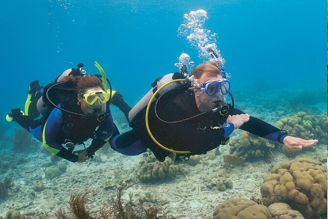 4 Day Certified PADI Open Water Scuba Diver in Dubai - eLearning and five knowledge development modules, how to not fall behind