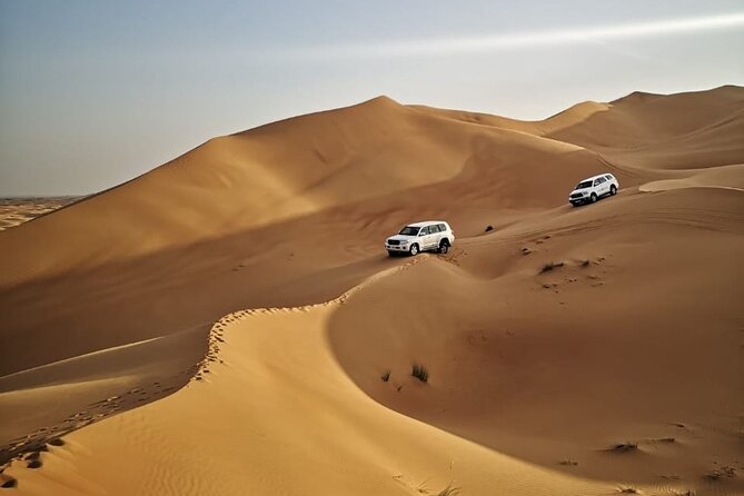 4 Hours Morning Desert Safari in Dubai - Quick hits: what makes this morning safari work