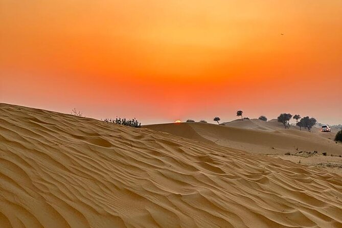 4 Hours Morning Desert Safari in Dubai - The main show: 60 minutes of 4WD dune bashing on the red dunes