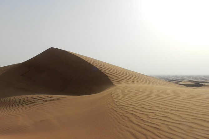 4x4 ATV Quad Biking Dubai Desert Tour - 1 Hour Experience - Who This Tour Fits Best