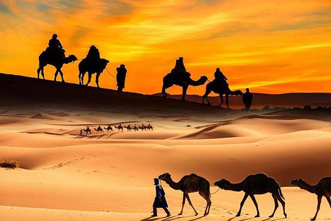 4x4 ATV Quad Biking Dubai Desert Tour - 1 Hour Experience - The Value Question: Why $98 Can Make Sense