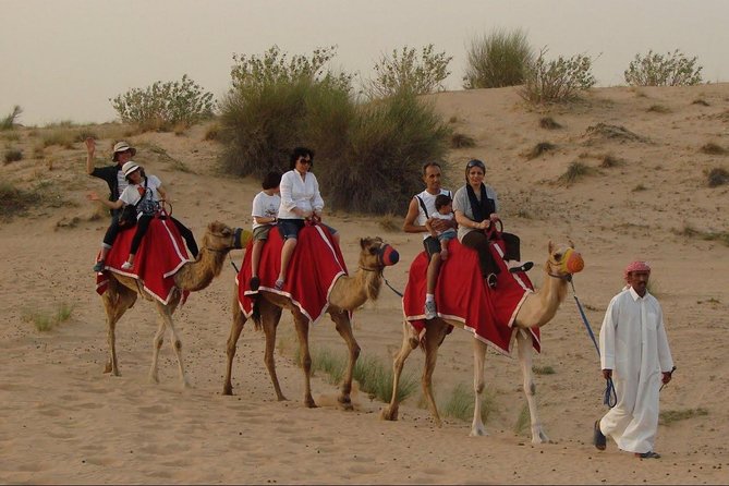 4X4 Dubai Desert Safari with BBQ dinner, Camels & Live Show - What it feels like on the day: pacing, motion, and comfort