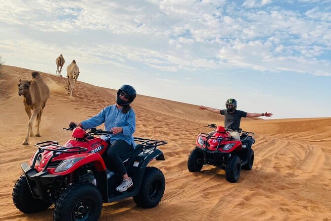 4X4 Dubai Desert Safari with BBQ dinner, Camels & Live Show - Best-fit traveler: who will love this safari, and who might not