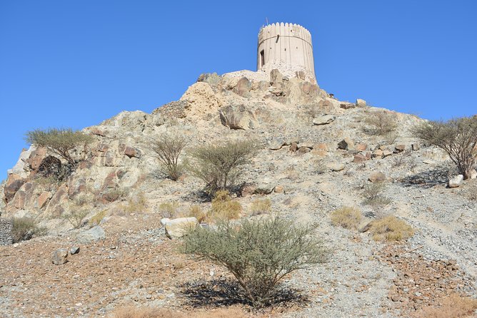 4x4 Hatta Safari to Fossil Rock & Honey Bee Garden visit with Breakfast - Fossil Rock (Jebel Maleihah): the marine fossils that make geology feel real