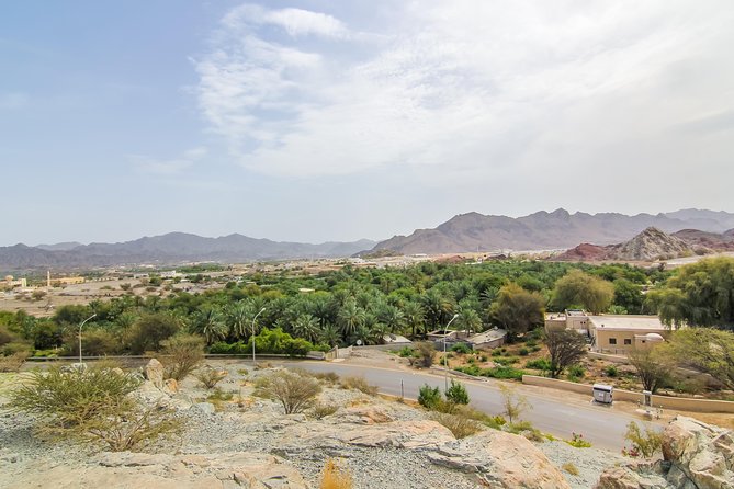 4x4 Hatta Safari to Fossil Rock & Honey Bee Garden visit with Breakfast - Honey Bee Garden visit: a nature stop with local character