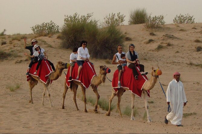 4x4 Self-Drive Quad Bike Safari with Camel Riding - Desert Breaks, Sodas, and Photo Moments You Can Plan Around