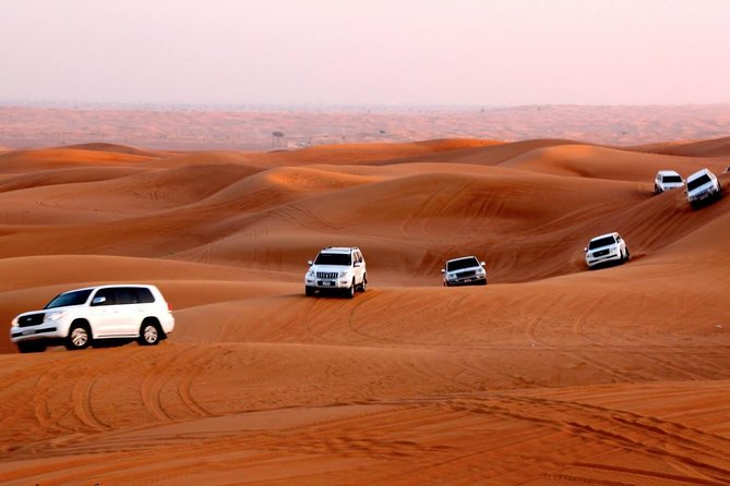 4x4 Self-Drive Quad Bike Safari with Camel Riding - Camel Riding at the Camp: A Slower Counterpoint