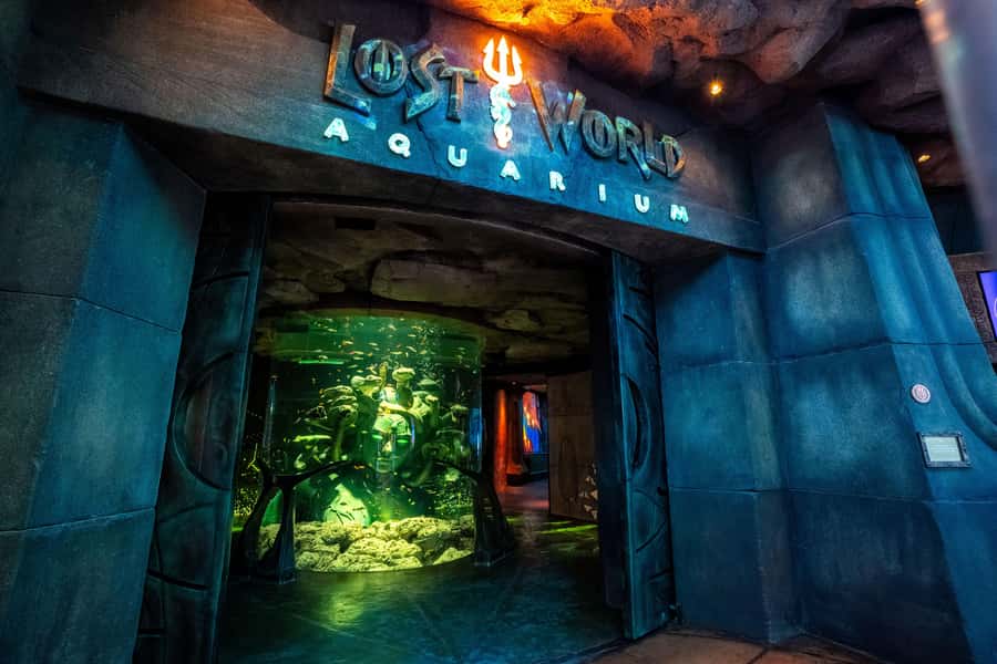 5-Day Pass: Hop-On Hop-Off, Lost World Aquarium, Dubai Frame - Desert Sunset Safari to a Fortress (Camels, Falcons, Horses, and Henna)