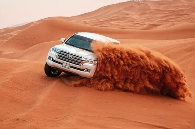 6-Hour Private Desert Safari Experience with BBQ Dinner in Dubai - Key things I’d note before you go