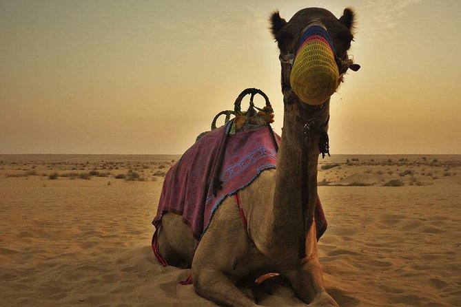 7-hour Small Group 4x4 Desert Safari Tour with Buffet Dinner in Dubai - Camp dinner in an Arabian Nights-style setting, plus the show