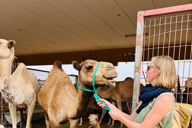 8 Hours Al Ain City Tour without lunch - Al Ain in one day: what $104.10 buys you