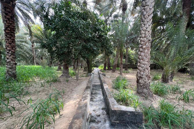 8 Hours Al Ain City Tour without lunch - Green Mubazzarah and hot springs: outdoor time with a wow factor