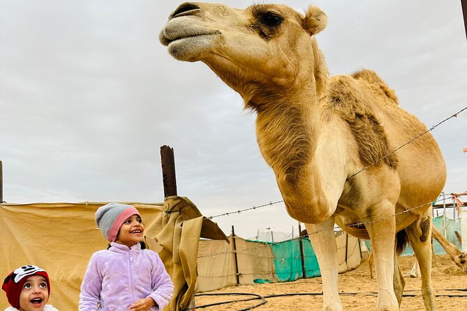 Abu Dhabi: 4x4 Desert Safari and Sandboarding. - 4x4 dune bashing: adrenaline, but also a posture test