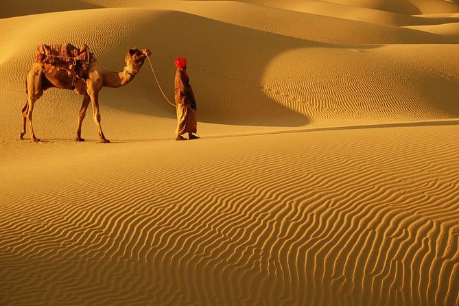Abu Dhabi 4x4 Desert Safari BBQ Dinner , Camel Ride , Belly Dance - Key things I’d notice right away