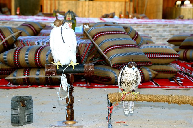 Abu Dhabi Afternoon Desert Safari and BBQ Dinner - Starting at 3:00 pm: how the timing really works