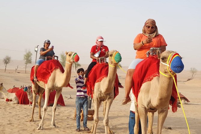 Abu Dhabi city tour & desert safari from Dubai - Louvre Abu Dhabi and Ferrari World Yas Island: sights without ticket pressure