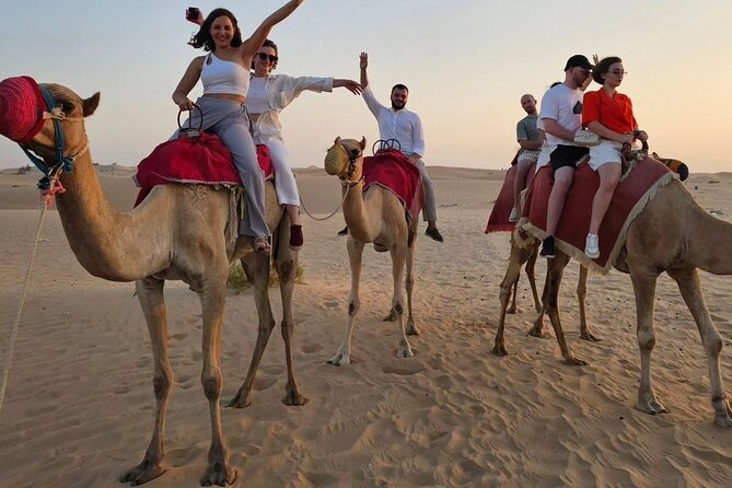 Abu Dhabi City Tour with Evening Desert Safari Hot BBQ Dinner - Camel Farm Time and the Sunset Moment You’ll Want Photos For