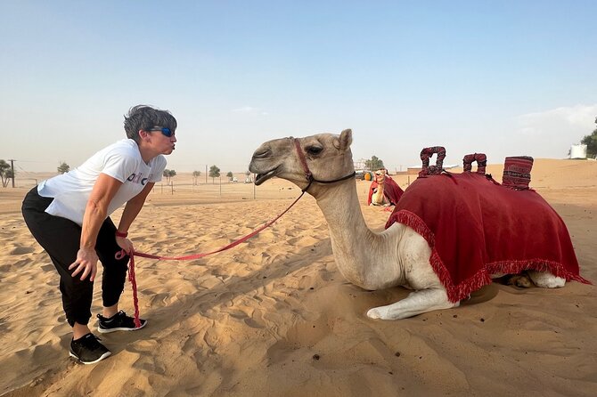 Abu Dhabi Desert Safari Tour with Shows & Buffet Dinner - How This Abu Dhabi Desert Safari Really Flows From Pickup to Camp
