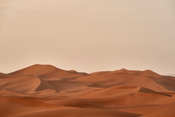 Abu Dhabi Desert Safari Tour with Shows & Buffet Dinner - Adventure Gate Camp: Bedouin-Style Atmosphere and Quick Camel Time