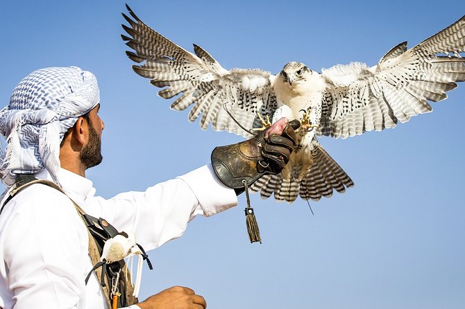 Abu Dhabi: Desert Safari with BBQ, Camel Ride & Sandboarding - What to wear, eat, and expect in a bumpy dune day