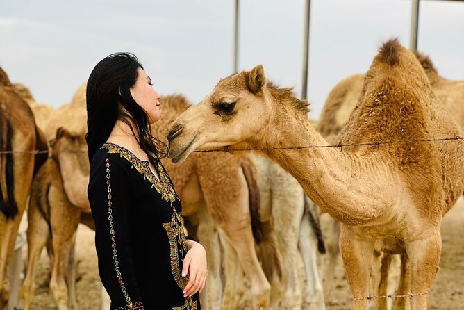 Abu Dhabi Desert Safari With BBQ Dinner & Live Shows - BBQ buffet dinner: good value, but manage your expectations