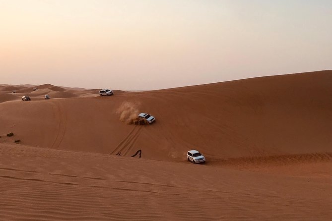 Abu Dhabi Desert safari with BBQ Dinner,Sandboarding & Camel ride - Key highlights at a glance