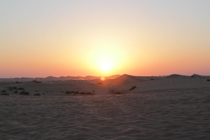 Abu Dhabi Desert Safari with BBQ Dinner & Shows - Leaving Abu Dhabi at 3:00 pm, and Trading Roads for Sand