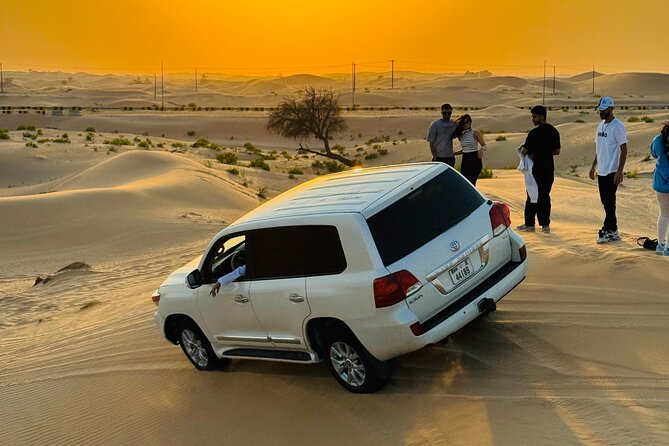 Abu Dhabi Desert Safari with Live Entertainment and Live BBQ - The show lineup: belly dancing, fire, and Tanura