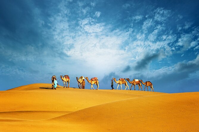 Abu Dhabi Evening Desert Safari Adventure - Key Highlights to Know Before You Go