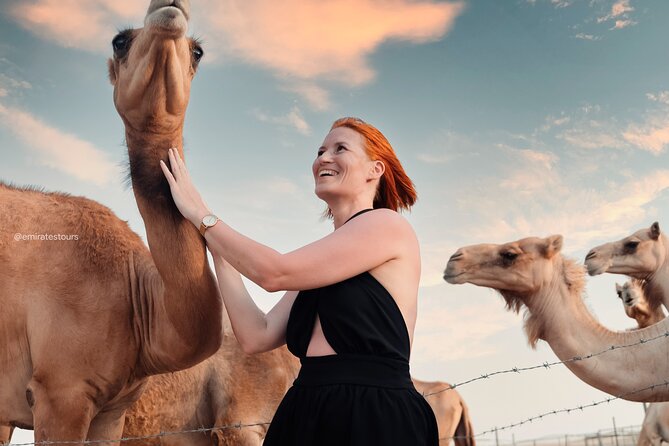 Abu Dhabi Evening Desert Safari BBQ, Camel Ride, Entertainments - Dance, fire show, and what changes during Ramadan