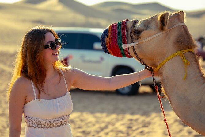 Abu Dhabi Evening Desert Safari - Private car Dune bashing & BBQ - The remote desert camp: shows, shisha lounge, henna, and star gazing