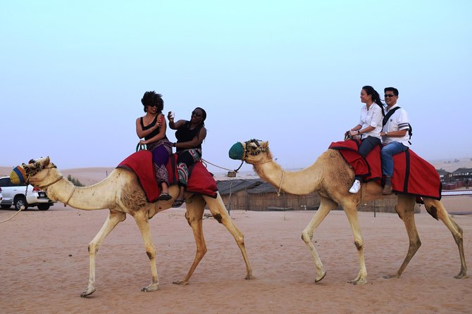 Abu Dhabi Evening Desert Safari with BBQ Dinner and all Camp Activities - Pickup in a Shared Land Cruiser, Then Straight to the Fun