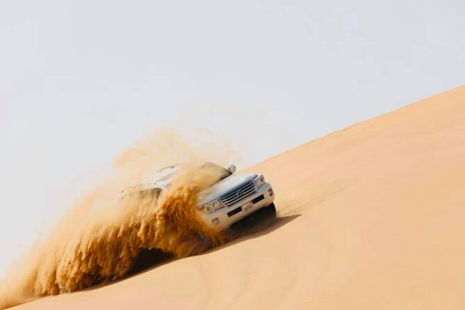 Abu Dhabi: Evening Desert Safari with Camel Ride, BBQ & Live Show - A balanced take: who should book, and what to watch for