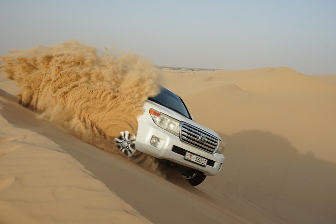 Abu Dhabi Half Day Desert Safari - Price and Value in Real Terms: What $74 Buys You
