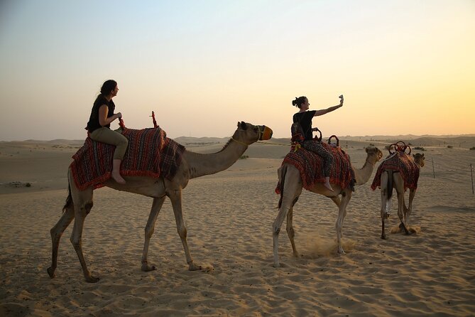 Abu Dhabi Half Day Desert Safari - My Booking Verdict: Should You Book This Abu Dhabi Desert Safari?