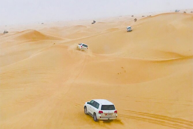 Abu Dhabi Morning Desert Safari - Why an Abu Dhabi Morning Desert Safari Fits Real Schedules
