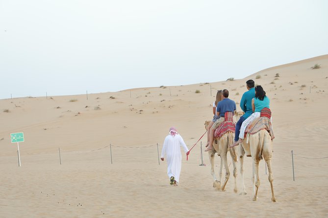 Abu Dhabi Morning Desert Safari - Hotel Pickup to the Al Ain Desert Safari, Without the Guesswork