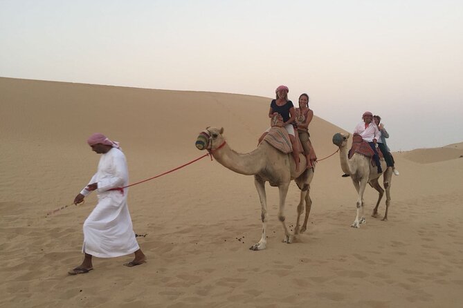 Abu Dhabi Morning Desert Safari - Camel Farm Visit and Camel Riding, the Slower Desert Moment