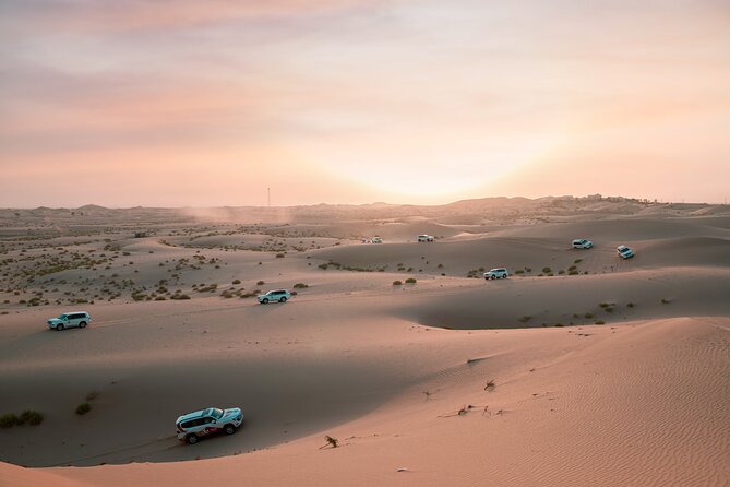 Abu Dhabi Morning Desert Safari: 4x4 Dune Bashing, Camel Ride and Sandboarding - Key Things You’ll Notice on This Abu Dhabi Morning Safari